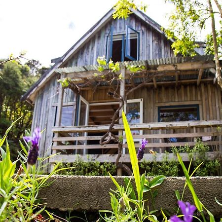 Fern Lodge Coromandel Exterior foto