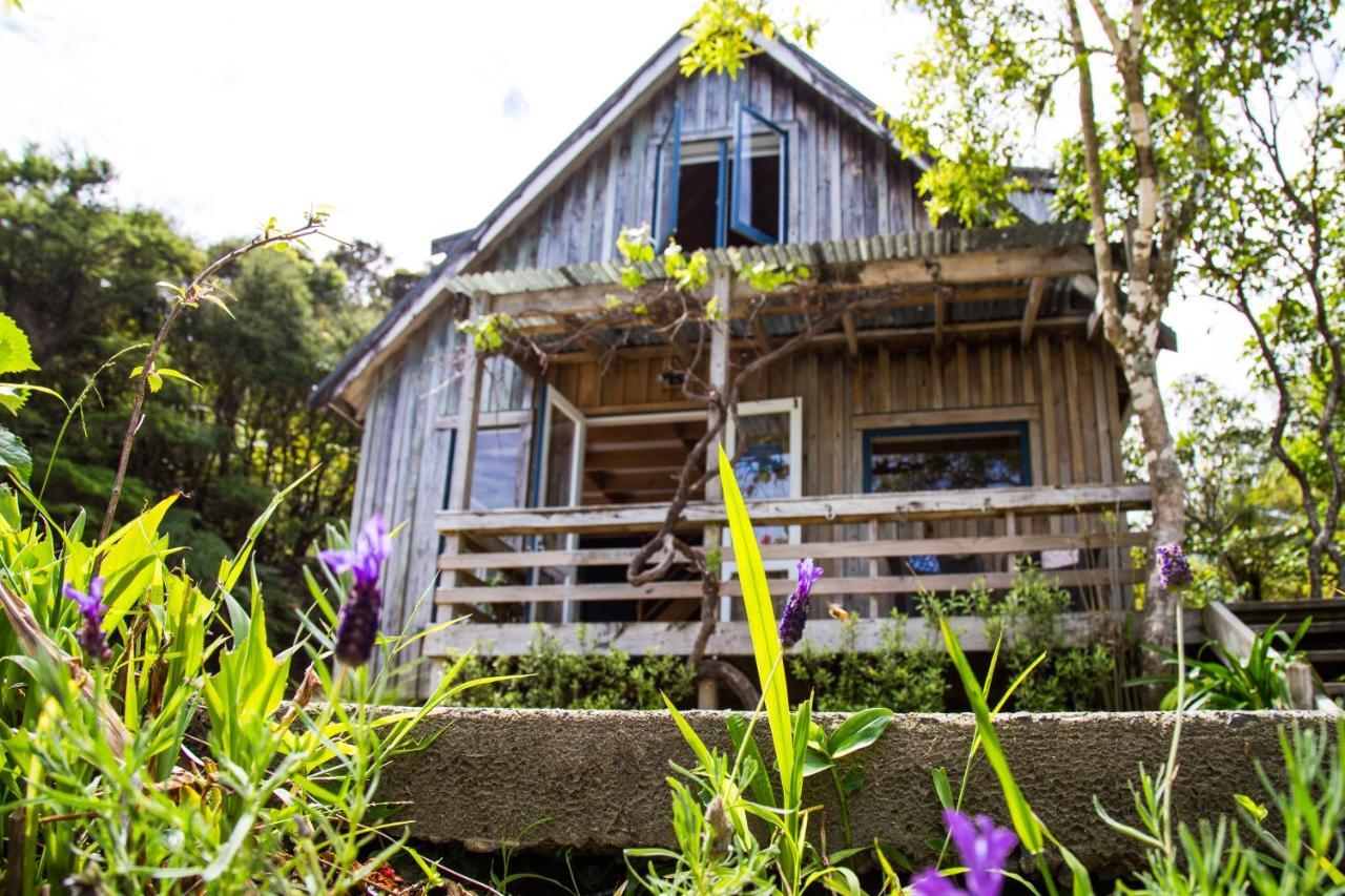 Fern Lodge Coromandel Exterior foto